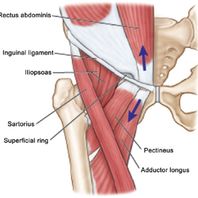 Ευστράτιος Γ. Καβρουδάκης MD, MSc,Χειρουργός, Ορθοπαιδικός, Τραυματιολόγος