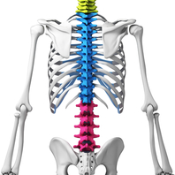Ευστράτιος Γ. Καβρουδάκης MD, MSc,Χειρουργός, Ορθοπαιδικός, Τραυματιολόγος