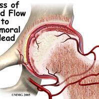 Ευστράτιος Γ. Καβρουδάκης MD, MSc,Χειρουργός, Ορθοπαιδικός, Τραυματιολόγος